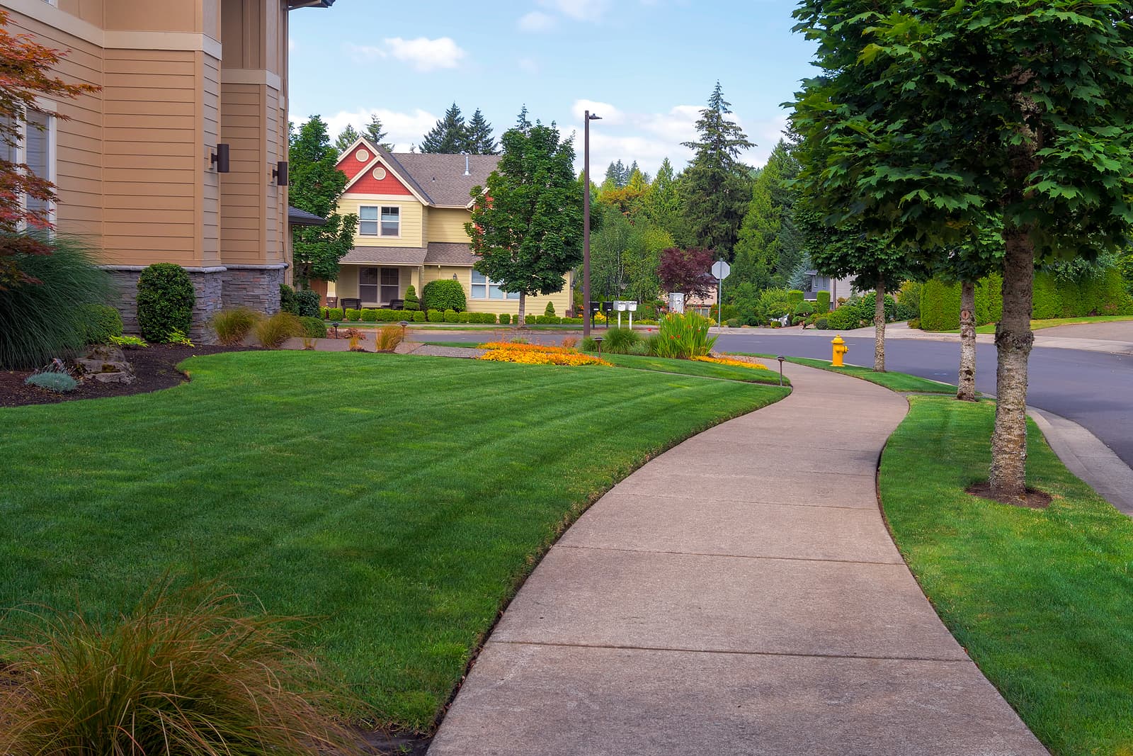 neighborhood sidewalks and walkways