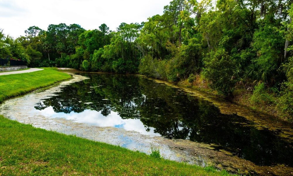 retention pond